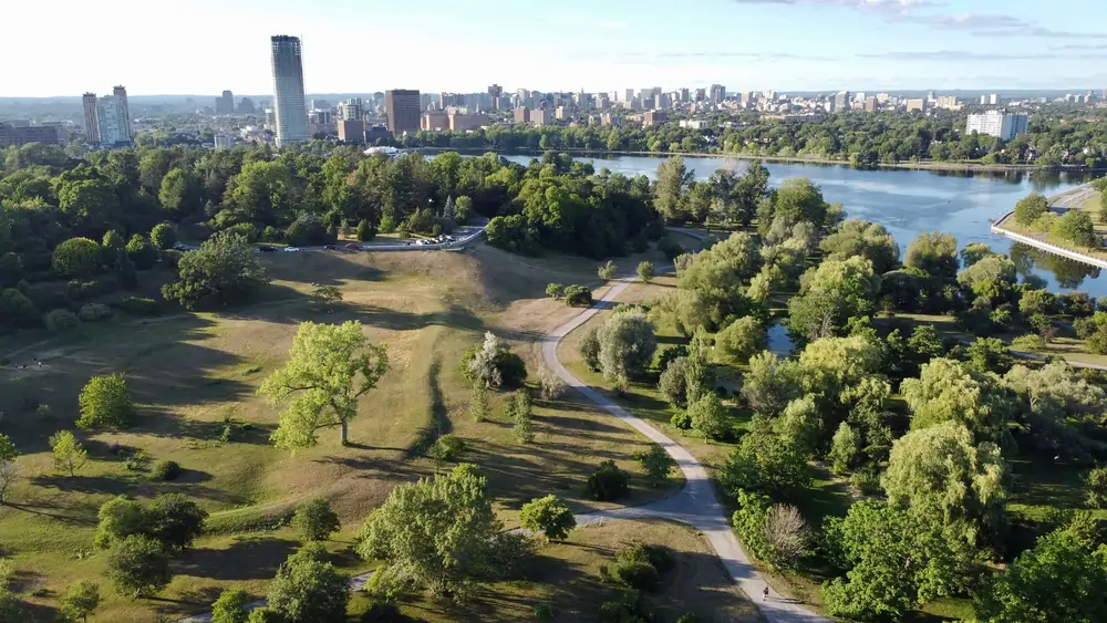 Les arbres, une solution pour réduire la mortalité estivale ?